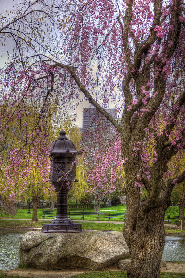 Japanese Lantern - Boston Public Garden Photograph by Joann Vitali
