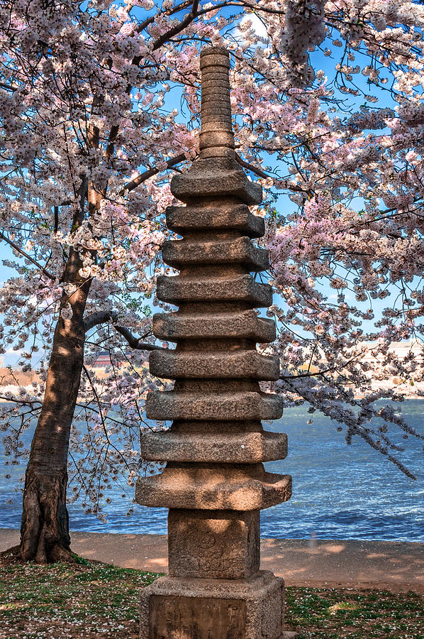 Japanese Pagoda Photograph by Mary Almond