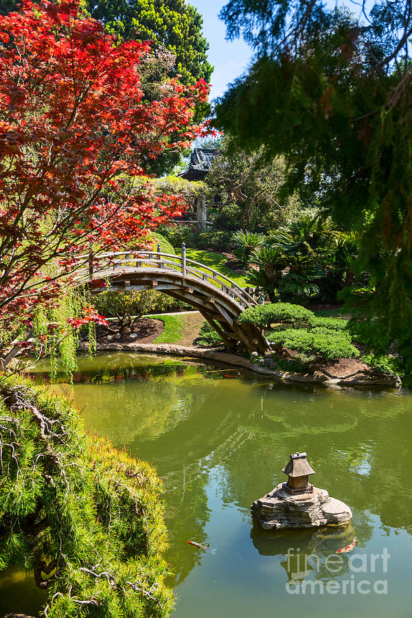 Spring Photograph - Japanese Spring - The Japanese Garden of the Huntington Library. by Jamie Pham