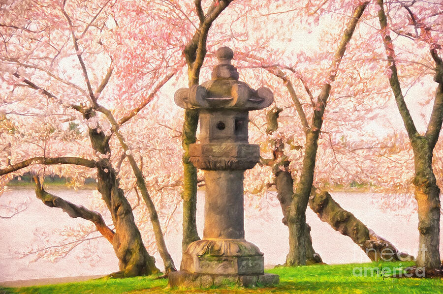 Tree Photograph - Japanese Stone Lantern by Lois Bryan