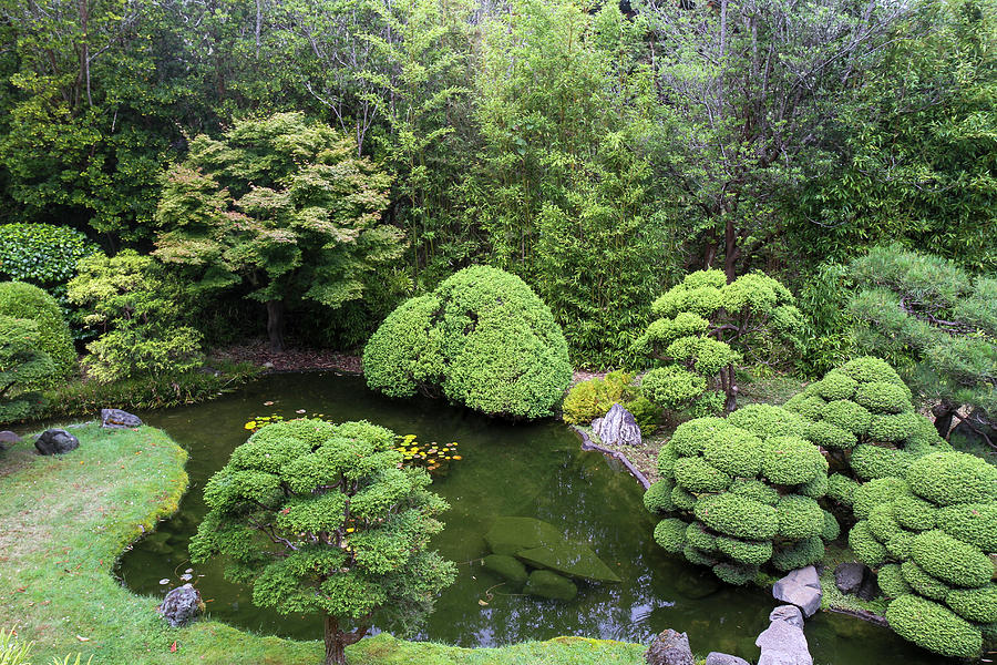 Japanese Tea Garden, Golden Gate Park Photograph by Susan Pease - Fine ...