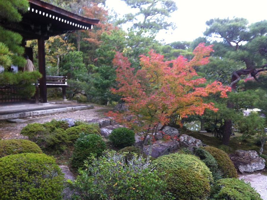 Japanese Temple Peace Photograph by Angela Bushman