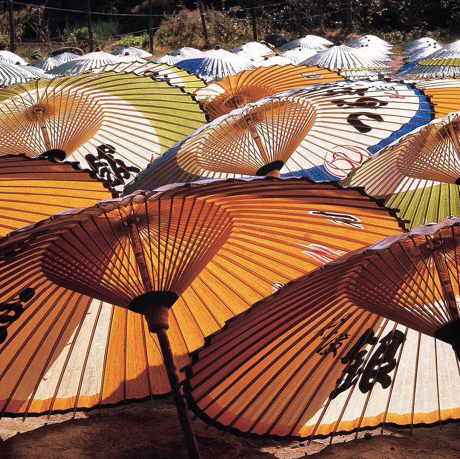 Japanese Umbrellas Photograph by George Holton
