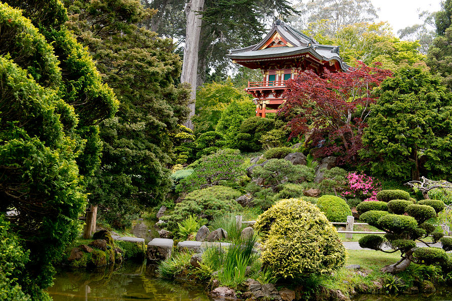 Japanese Village Gardens in San Francisco Photograph by Carol M ...