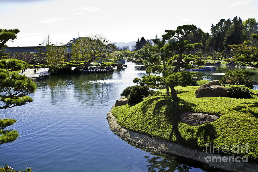 Japanese Water Garden Photograph by Richard J Thompson 
