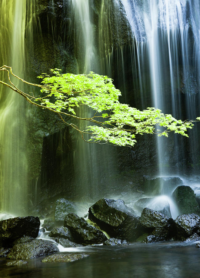 Japanese Waterfall Photograph by Ooyoo