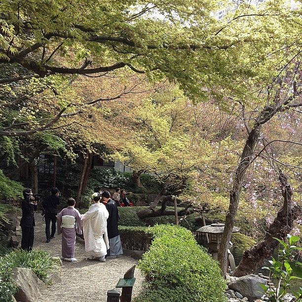 Japan Photograph - #japan#garden#landscape
Happyday by Tokyo Sanpopo Japan Photograph - #japan#garden#landscape
Happyday by Tokyo Sanpopo