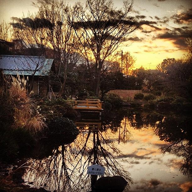 Unique Photograph - Japn Garden#garden #instagram #iphone4s by Saito Hironobu