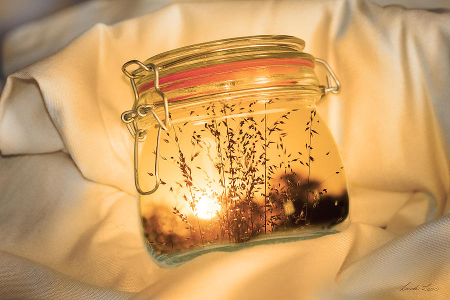 Jar Full of Sunshine Digital Art by Linda Lees