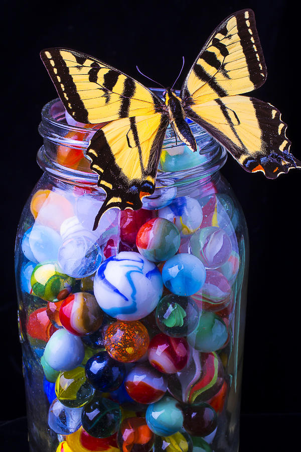 Jar Of Marbles With Butterfly Photograph by Garry Gay