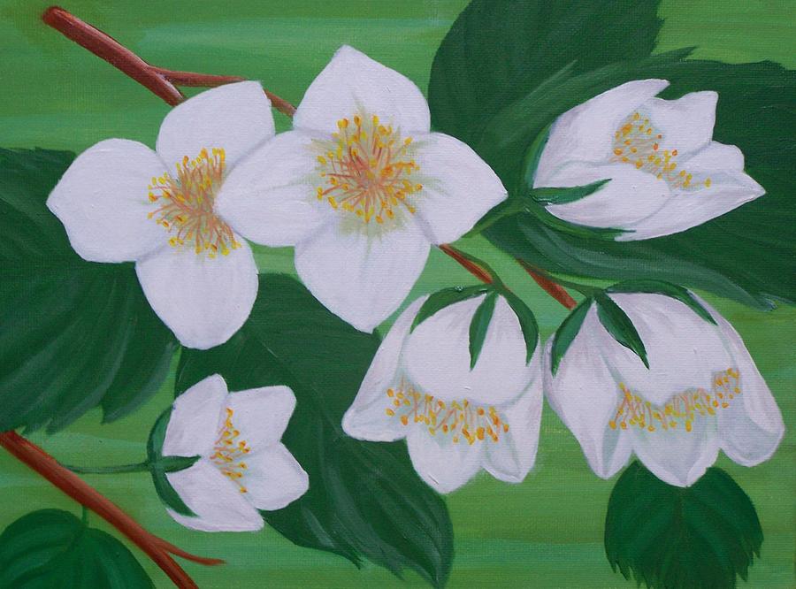 Jasmine Painting by Elizabeth Janus Fine Art America