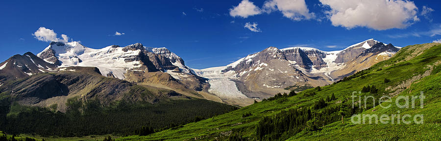 Jasper - Columbia Icefields Panorama Photograph by Terry Elniski