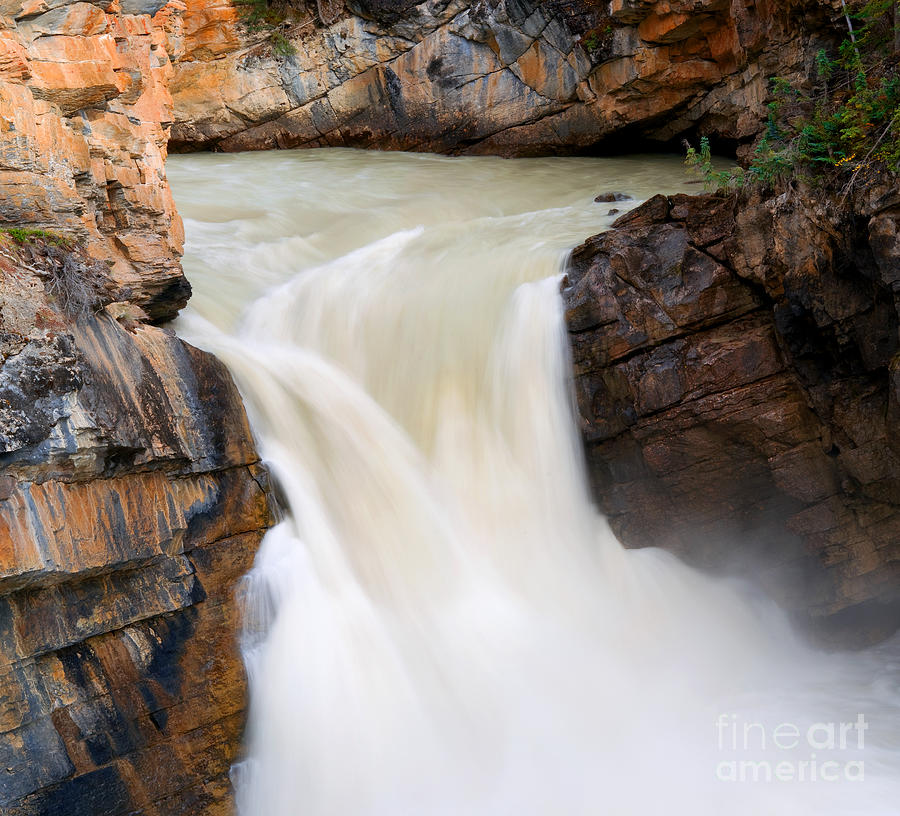 Jasper - Lower Sunwapta Falls Photograph by Terry Elniski