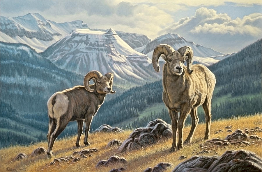 Wildlife Painting - Jasper Rams by Paul Krapf