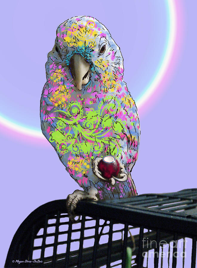 Bird Photograph - Jawbreaker-Dandy by Megan Dirsa-DuBois