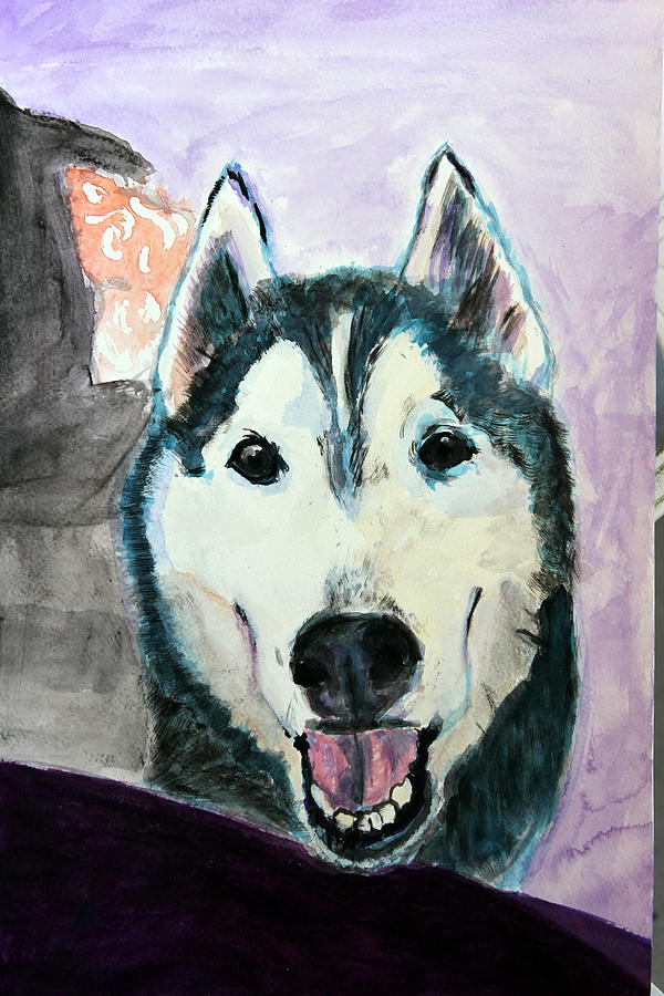 Husky Painting - Jay in purple.  by Arthur Rice