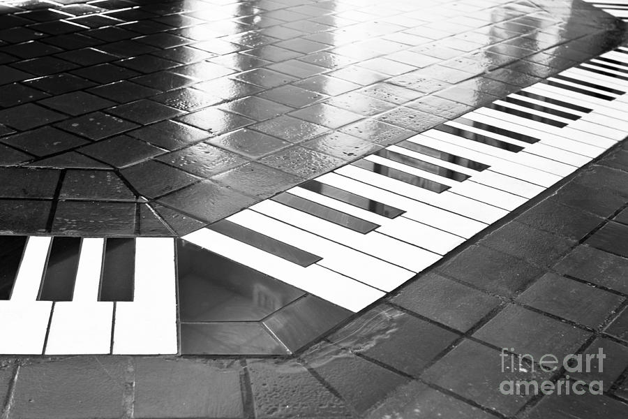Jazzy Tiles Photograph by Lawrence Burry
