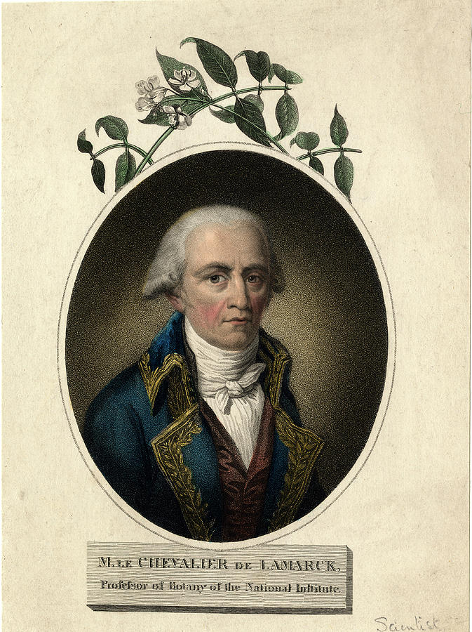 Jean-baptiste Lamarck Photograph by Natural History Museum, London/science Photo Library
