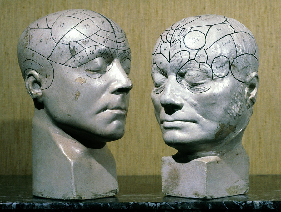 Jean Charcots Phrenological Models Photograph by Cci Archives/science Photo Library
