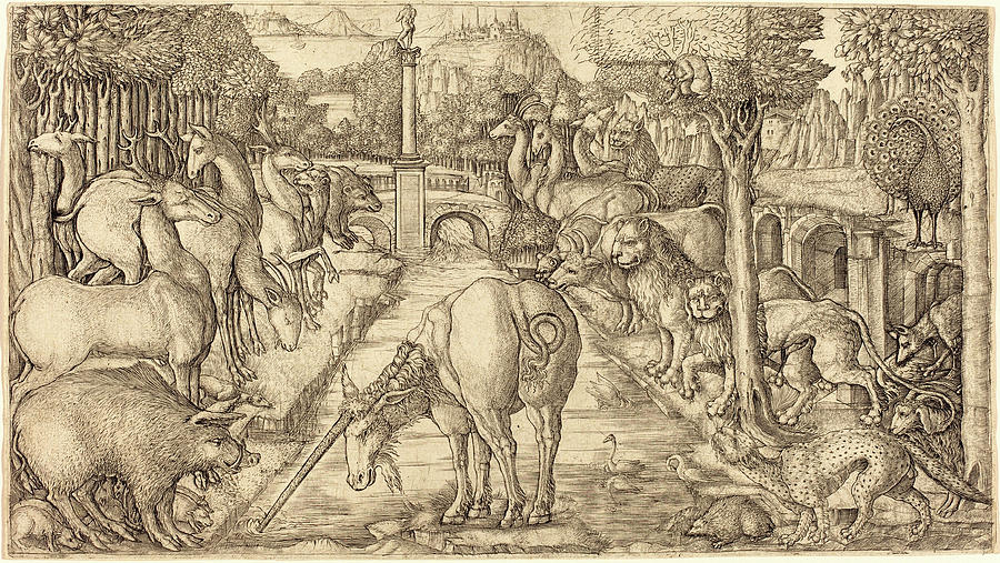 Unicorn Drawing - Jean Duvet, French 1485-c. 1570, The Unicorn Purifies by Litz Collection