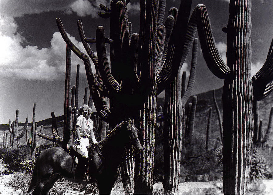 Jean Harlow Bombshell set Saguaro Natl Monument Tucson Arizona 1933-2008 Photograph by David Lee Guss