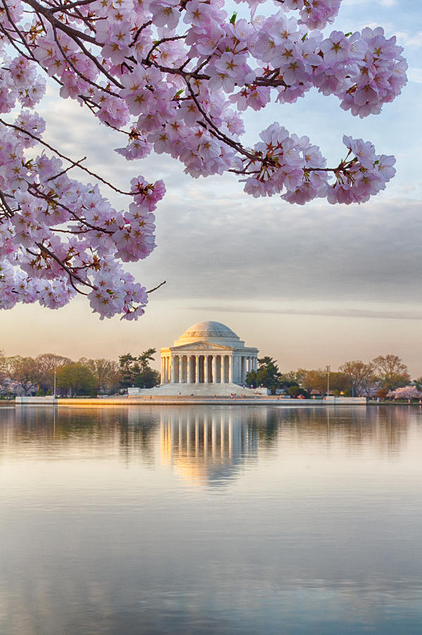 Jefferson Memorial in the Early Morning Photograph by Leah Palmer