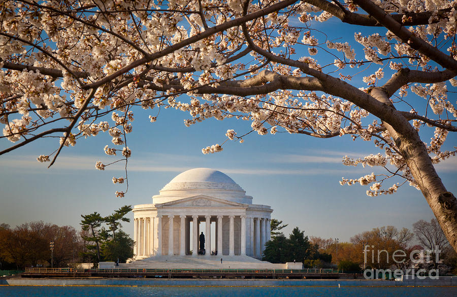 Architecture Photograph - Jefferson Memorial by Inge Johnsson