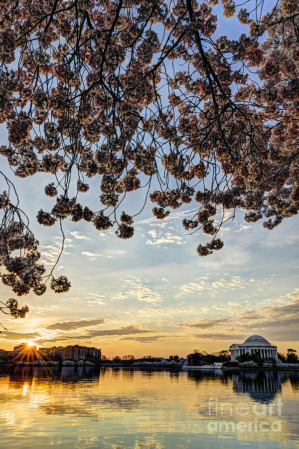 Jefferson Memorial Sunrise Photograph by Oscar Gutierrez