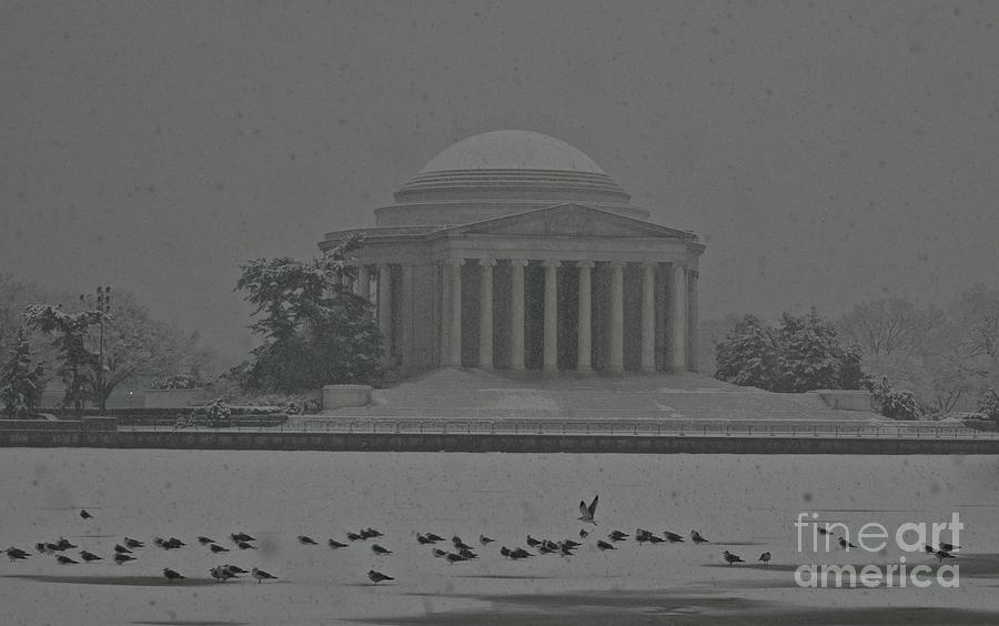 Jefferson Memorial Photograph by Tracy Rice Frame Of Mind