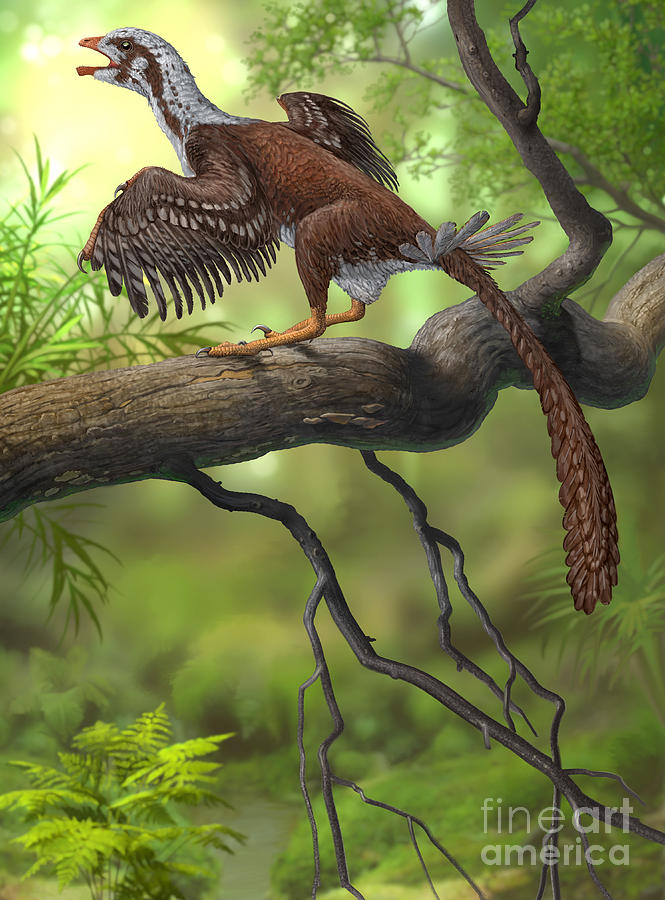 Wildlife Digital Art - Jeholornis Prima Perched On A Tree by Sergey Krasovskiy