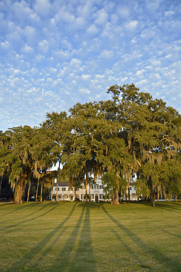 Jekyll Island Crane Cottage Lawn Shadows Photograph by Bruce Gourley