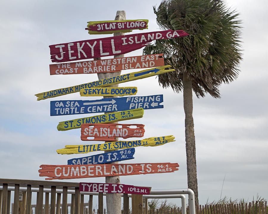 Turtle Photograph - Jekyll Island Where to Go by Betsy Knapp