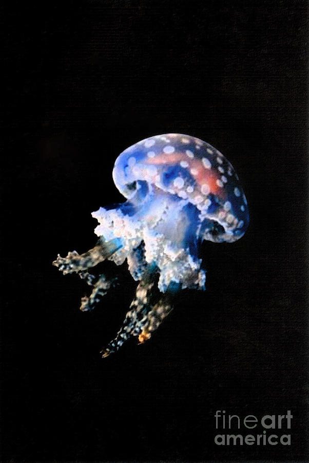 Sea Life Painting - Jelly Fish by Mary Zimmerman