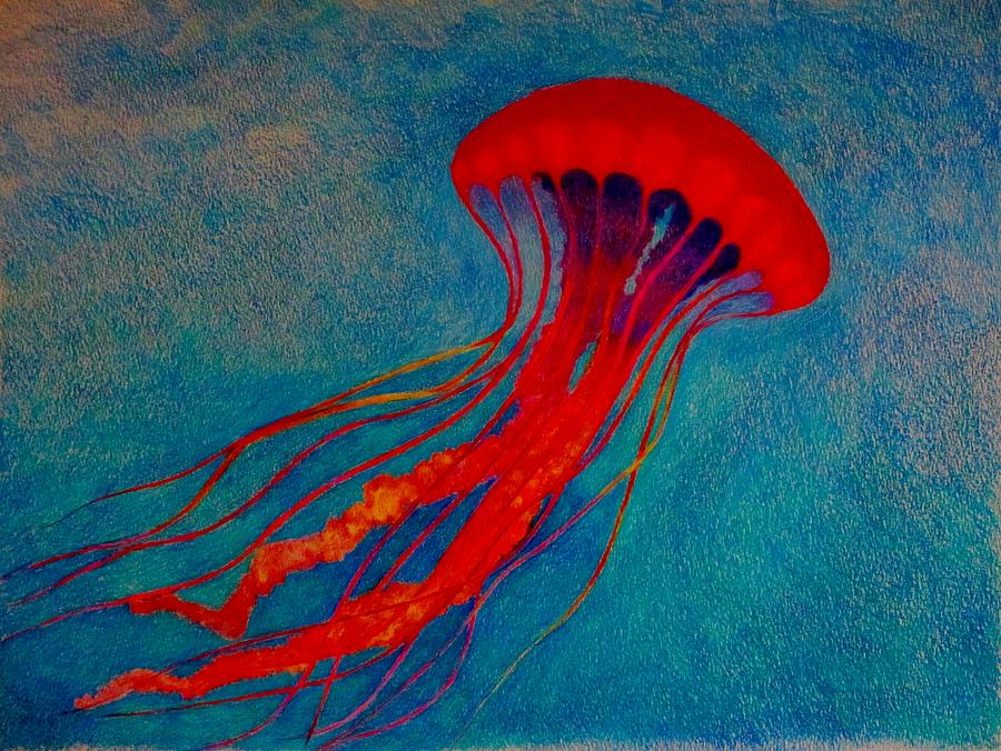 Jelly Drawing by Kevin V Gleason