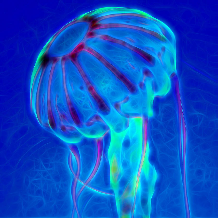 Jellyfish Digital Art - Jellyfish 1 Digital Art by Ernest Echols