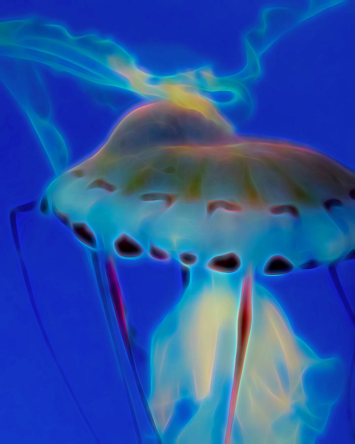 Jellyfish 2 Digital Artwork Digital Art by Ernest Echols