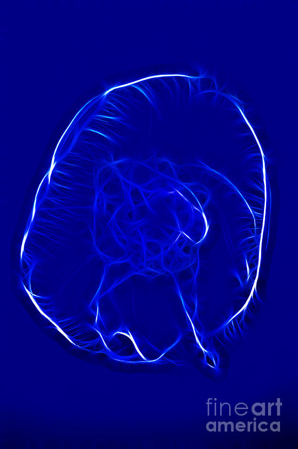 Jellyfish Fractal 2 Photograph by Vivian Christopher