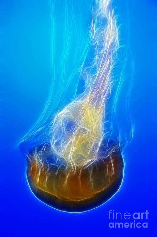 Jellyfish Fractal Photograph by Vivian Christopher