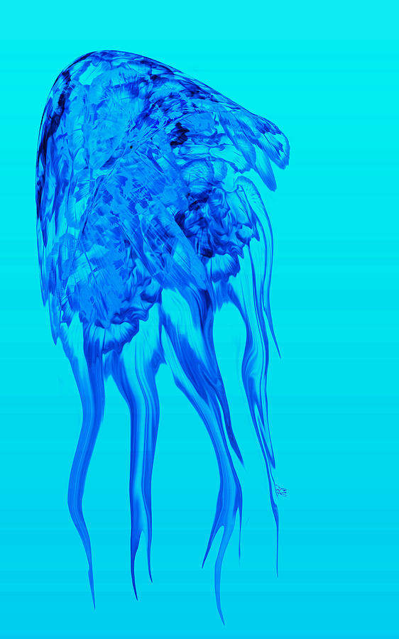 Jellyfish Illusion Photograph by Stephanie Grant