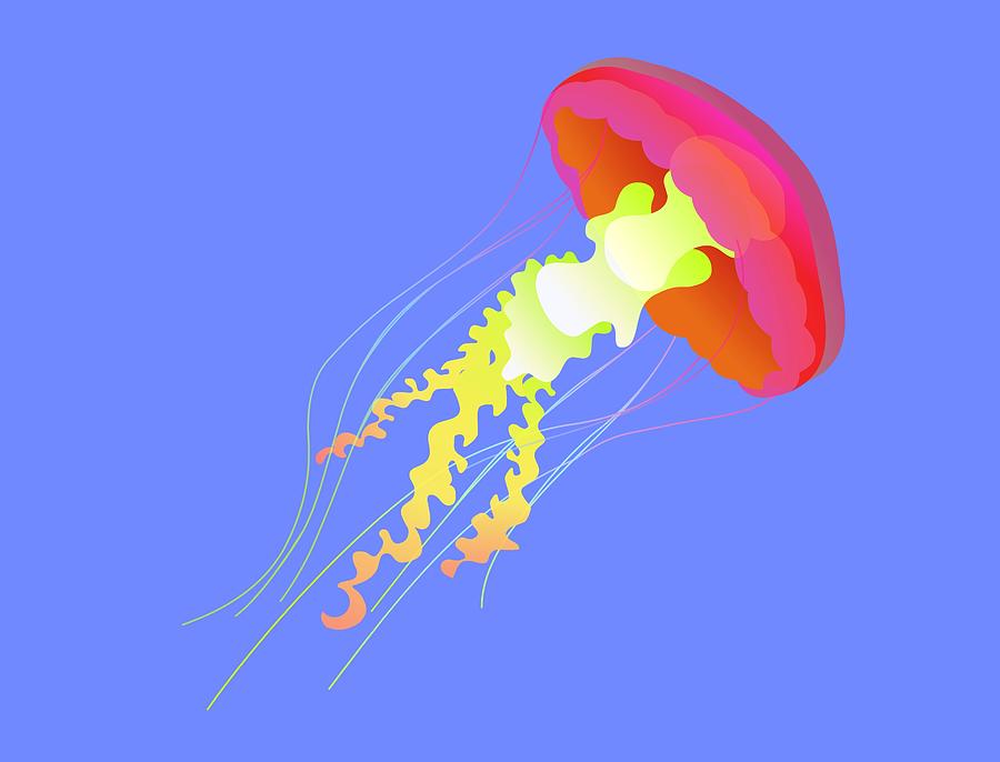 Jellyfish Digital Art by Illustration By Sjors Tomlow