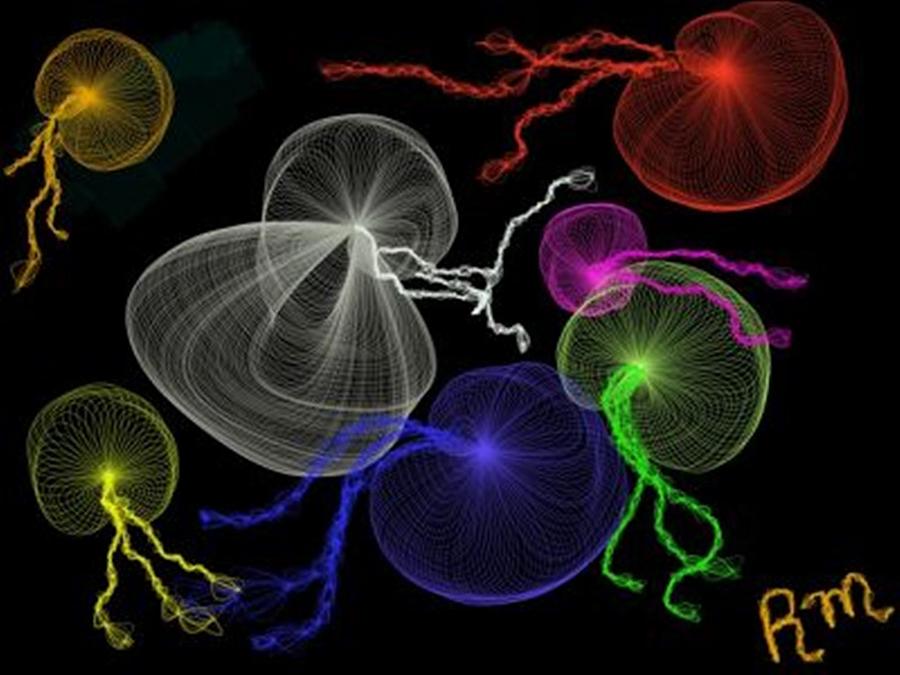 Jellyfish Jam Digital Art by Renee Michelle Wenker