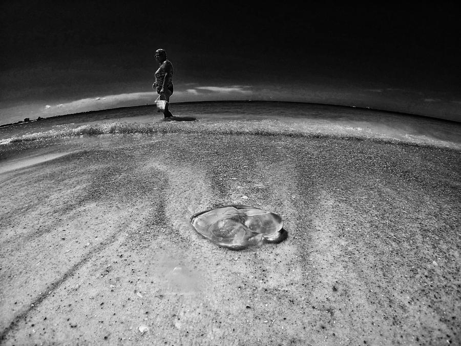 Jellyfish Photograph by Kevin Cable