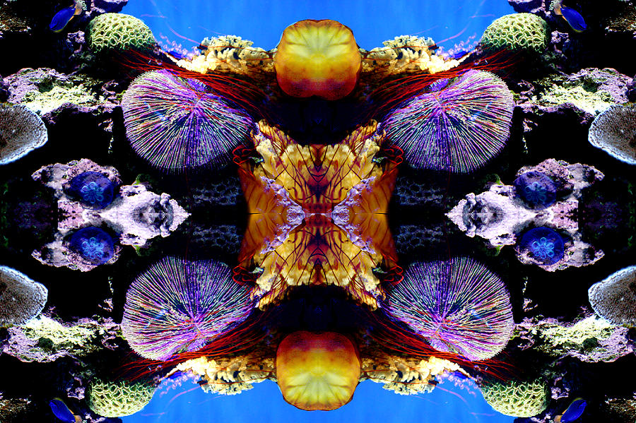 Jellyfish Reflections Digital Art by Georgianne Giese