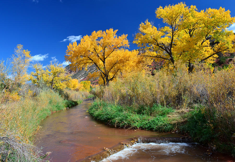 Jemez River at Jemez Springs Photograph by Karl Moffatt - Fine Art America