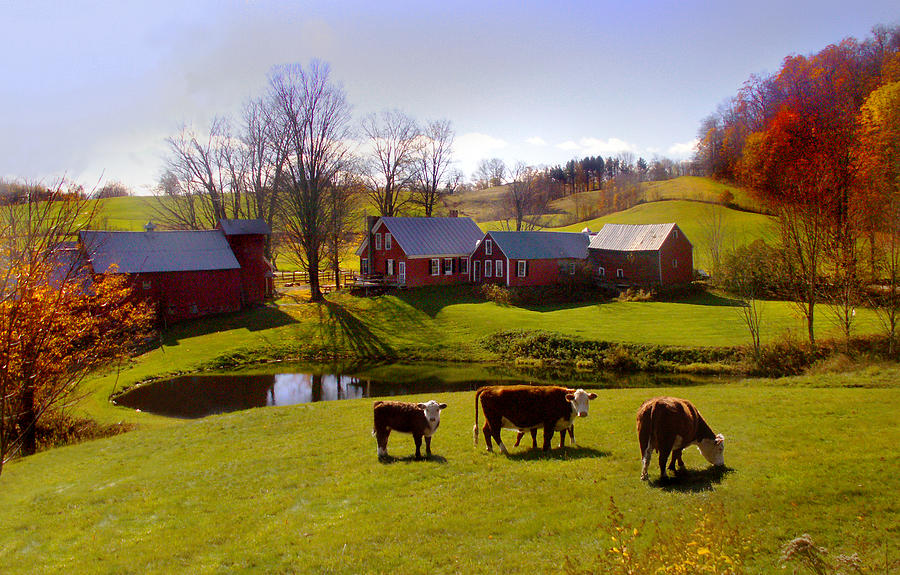 Jenne Farm In Autumn Photograph by Nancy Griswold