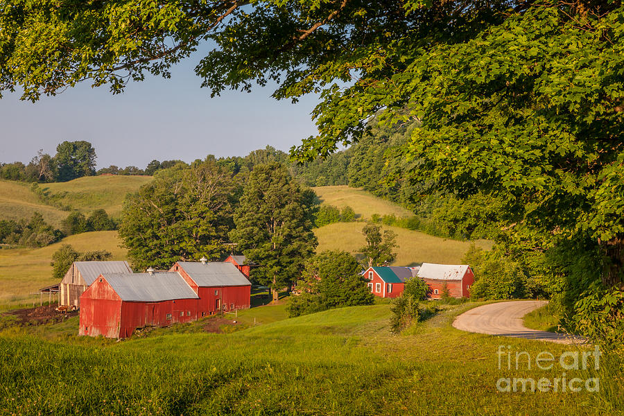 Jenne Farm in Summer Photograph by Susan Cole Kelly