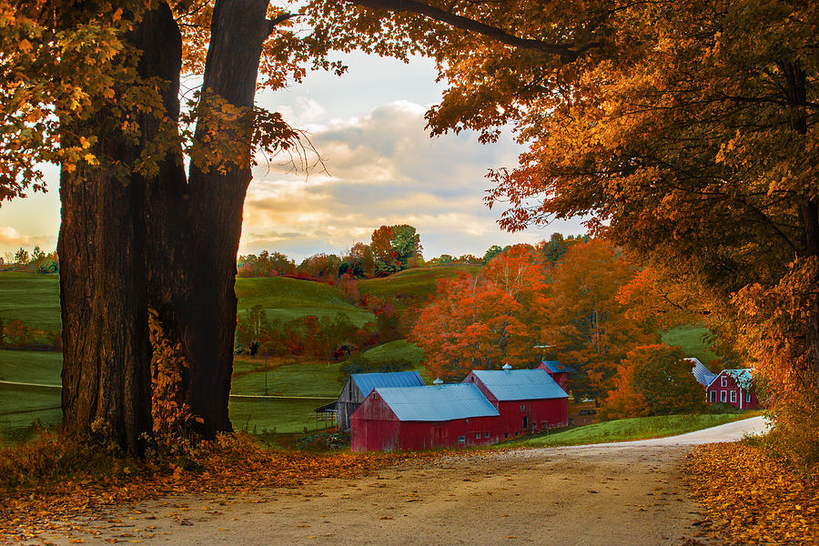 Jenne Farm Photograph by Jonathan Steele - Fine Art America