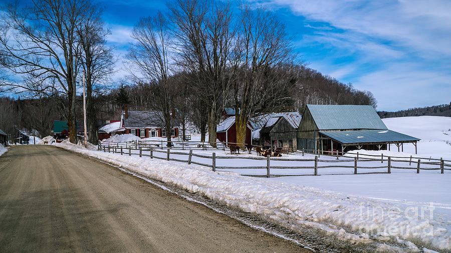 Jenne Farm. Photograph by New England Photography