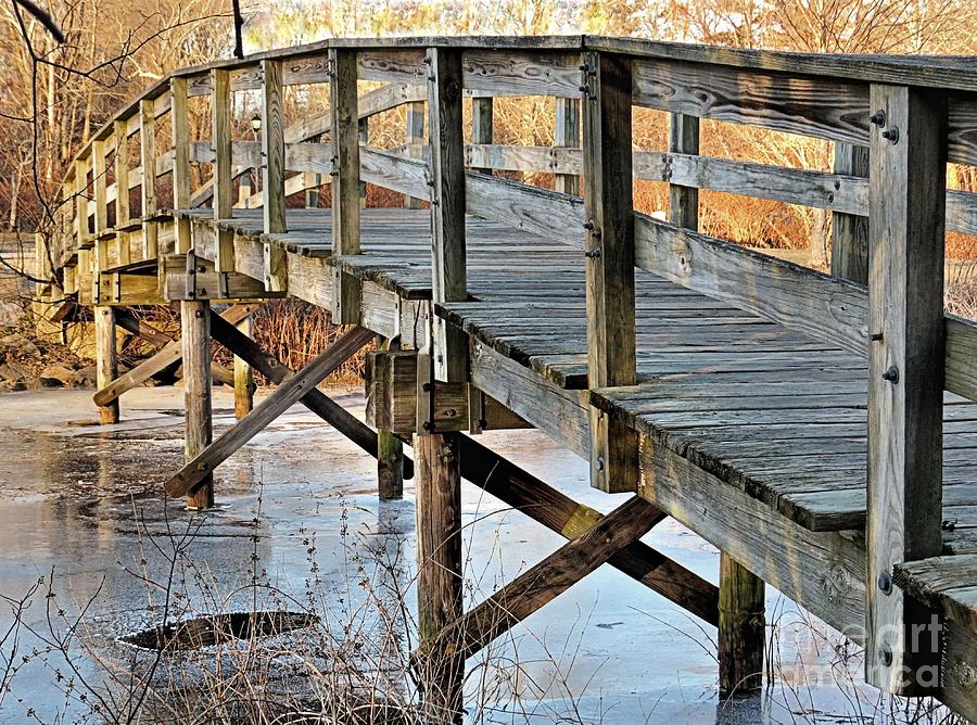 Jenney Pond Footbridge Photograph by Janice Drew