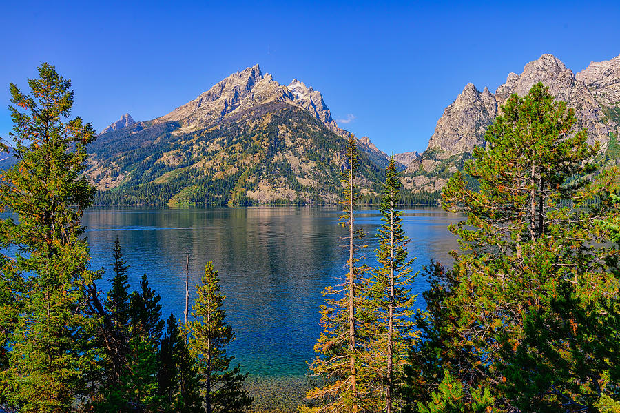 Jenny Lake Overlook Photograph by Greg Norrell